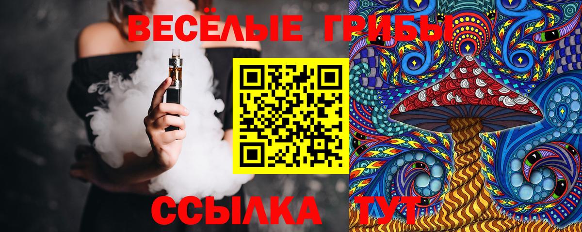 Псилоцибиновые грибы GOLDEN TEACHER  Вход с VPN  Салехард 