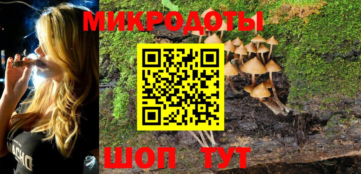 Псилоцибиновые грибы мицелий Салехард