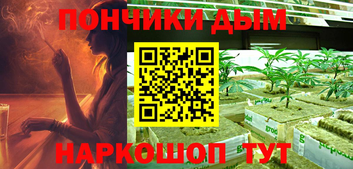 Марихуана сатива Салехард